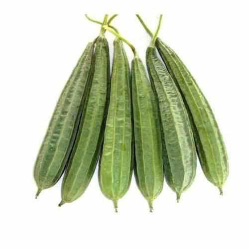 Shop Turai (Ridge Gourd) in UAE (Dubai, Sharjah, Abu Dhabi, Ajman) - FreshNBulk.ae