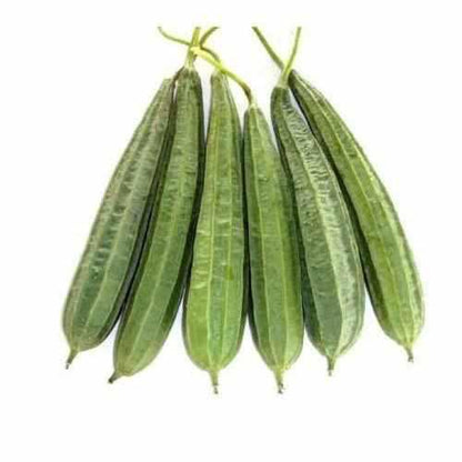 Shop Turai (Ridge Gourd) in UAE (Dubai, Sharjah, Abu Dhabi, Ajman) - FreshNBulk.ae