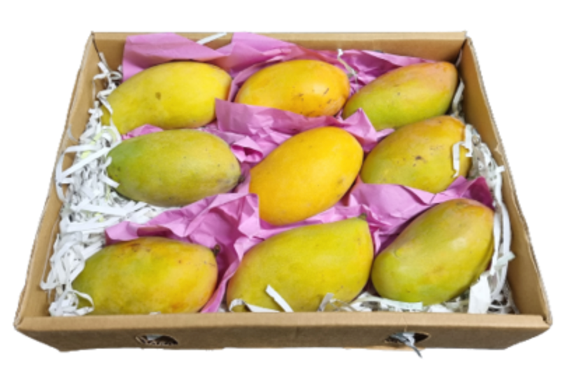 Mango Taymor Yemen @ FreshNBulk.ae