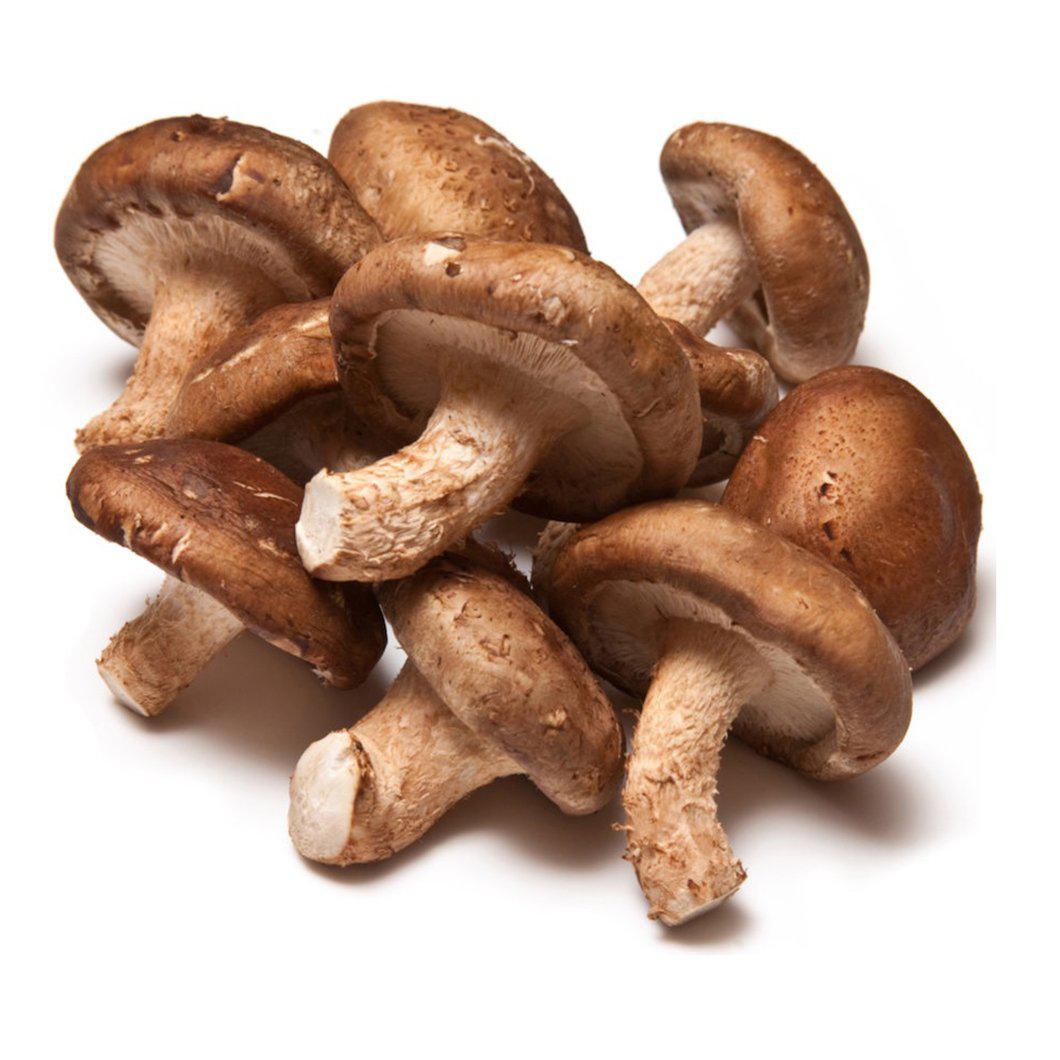 Shop Shitake Mushroom in UAE (Dubai, Sharjah, Abu Dhabi, Ajman) - FreshNBulk.ae