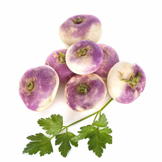 Shop Turnip in UAE (Dubai, Sharjah, Abu Dhabi, Ajman) - FreshNBulk.ae