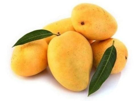Alphonso Mango – Fresh Indian Variety | FreshNBulk UAE