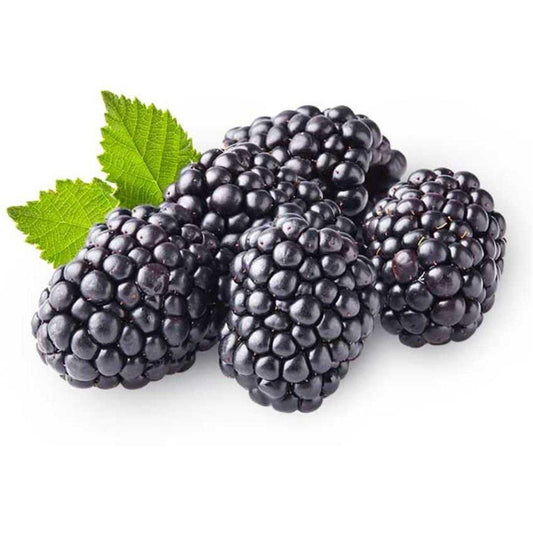 Shop Blackberries in UAE (Dubai, Sharjah, Abu Dhabi, Ajman) - FreshNBulk.ae