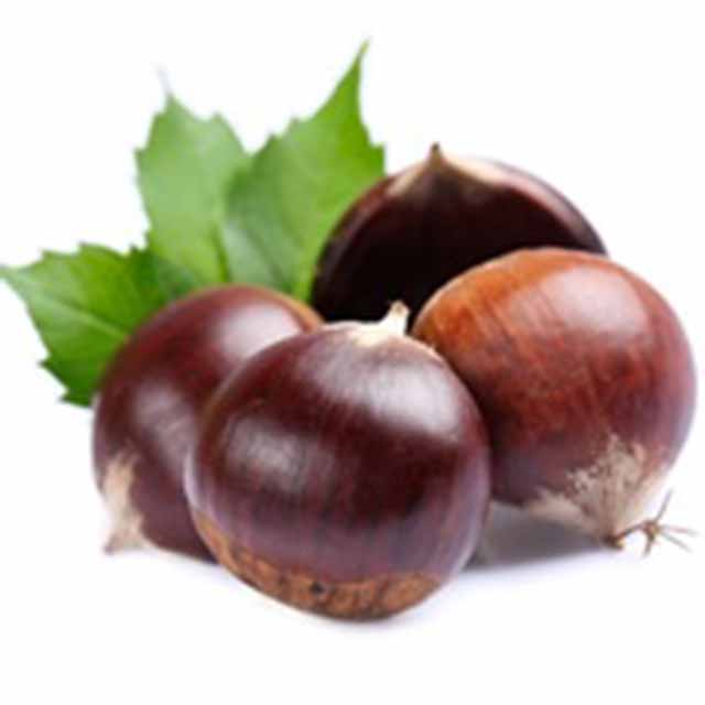 Shop Chestnuts in UAE (Dubai, Sharjah, Abu Dhabi, Ajman) - FreshNBulk.ae
