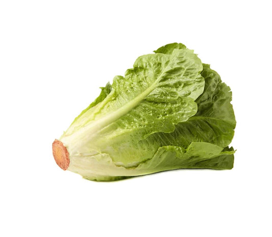 Shop Lettuce Romaine in UAE (Dubai, Sharjah, Abu Dhabi, Ajman) - FreshNBulk.ae